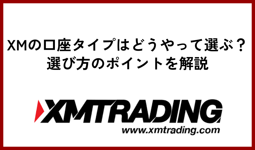 XMの口座タイプはどうやって選ぶ？選び方のポイントを解説